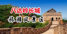 性感美女被插网站中国北京-八达岭长城旅游风景区