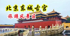 操我吧黄色网站中国北京-东城古宫旅游风景区